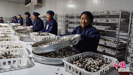23省市2100余款產(chǎn)品齊聚全國(guó)菌博會(huì)，《中國(guó)食用菌產(chǎn)業(yè)年鑒》即將發(fā)布